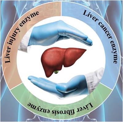 Shining a light on liver health: advancements in fluorescence-enhanced enzyme biosensors for early disease detection